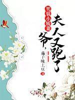 男装小娇妻:爷,夫人又跑了