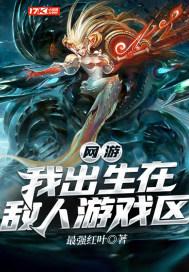 网游:我出生在敌人游戏区
