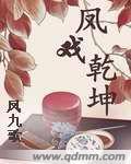 凤戏乾坤