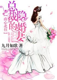 南心北往,总裁的隐婚妻