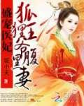 盛宠医妃:狐狸王爷腹黑妻