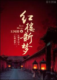 红楼新梦