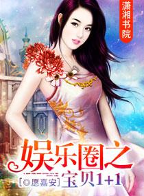 娱乐圈之宝贝1+1