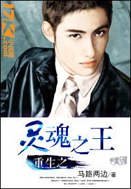 重生之灵魂之王