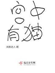 宫中有猫
