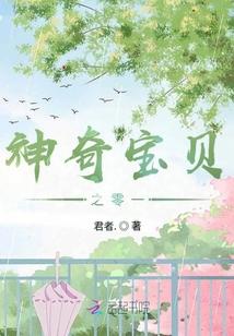 神奇宝贝之零一