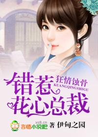 狂情蚀骨，错惹花心总裁