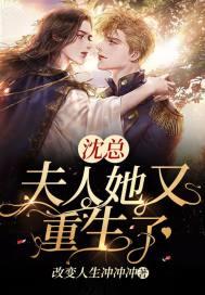 沈总,夫人她又重生了