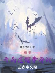 精灵:开局道馆争夺战