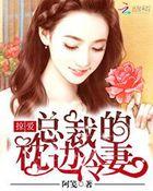 掠爱:总裁的枕边冷妻