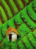 父母日常二三事