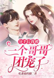 分手后我被三个哥哥团宠了