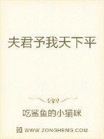 夫君予我天下平