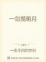 一剑揽明月