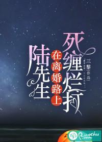 陆先生在离婚路上死缠烂打