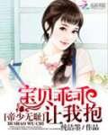 帝少无耻:宝贝乖乖让我抱