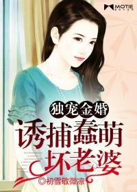 独宠金婚:诱捕蠢萌坏老婆