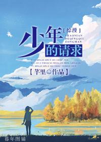 少年的请求