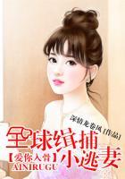 爱你入骨:全球缉捕小逃妻
