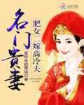 名门贵妻:肥女二嫁高冷夫