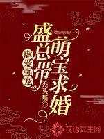 虐爱强宠：盛总带萌宝求婚