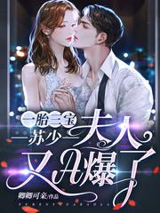 一胎三宝:苏少,夫人又A爆了!