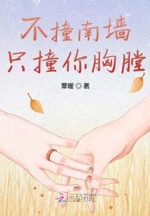 不撞南墙,只撞你胸膛