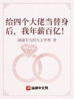 给四个大佬当替身后,我年薪百亿!