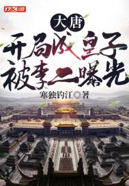 大唐:开局成皇子,被李二曝光