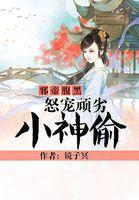 邪帝腹黑:怒宠顽劣小神偷