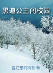 黑道公主闯校园