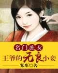 名门庶女：王爷的无良小妾