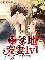 天降双宝:爹地宠妻1v1