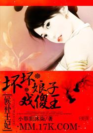 候补王妃：坏坏娘子戏傻王