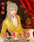 至尊龙帝