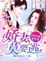 爱妻莫要逃:深情总裁宠宠宠